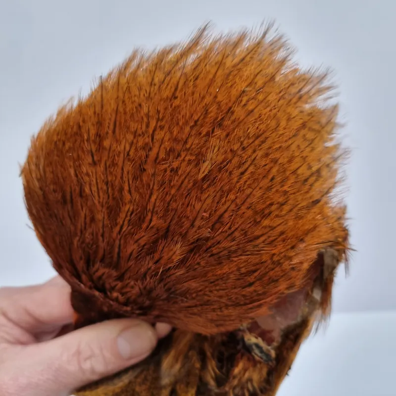 Whiting Coq de Leon Hen Cape in Speckled Burnt Orange-11